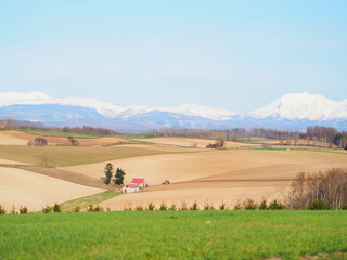 雪が残る大雪山連邦と素敵な美瑛の風景