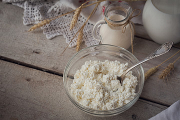 Fresh dairy products. Milk, cottage cheese, sour cream and wheat on rustic wooden background.
