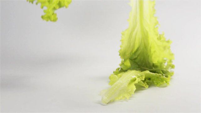 Salad falling and splashing on white surface with isolated white grey background in slo-mo shot on Phantom Flex rapidly. Bounce fresh tasty green meal.