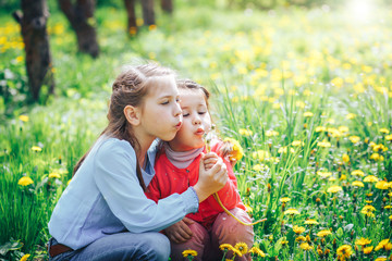 two beautiful girls in a meadow blowing dandelions