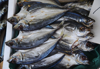 新鮮、鯵のひらき