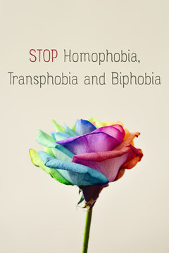 text stop homophobia, transphobia and biphobia