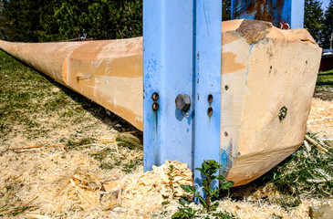 typical bavarian maypole