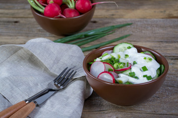 Vitamin spring salad: green onion, radish, cucumber, sour cream. 