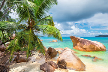 Fototapeta na wymiar Palm trees and rocks on amazing island, Praslin, Seychelles.
