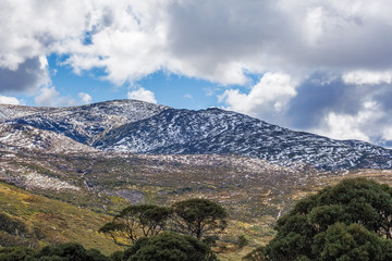 Australian Alps Landscape - New South Wales, Australia