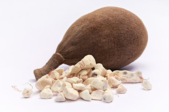 Baobab fruit (Adansonia digitata) on white background, pulp and powder, superfood