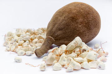 Baobab fruit (Adansonia digitata) on white background, pulp and powder, superfood