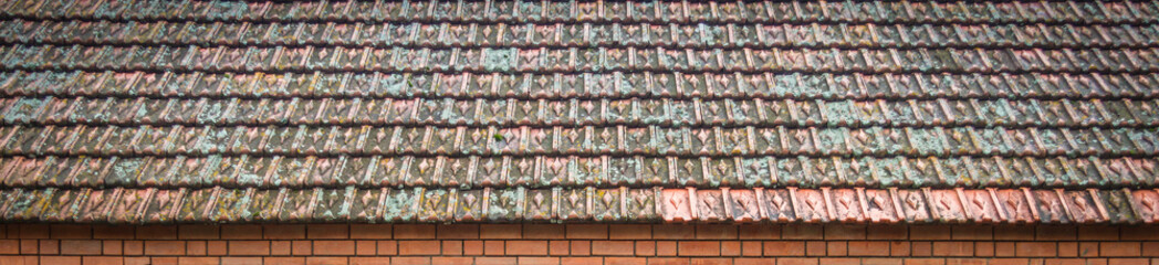 Old shingles, overgrown with moss