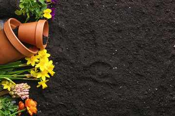 Composition with plants and pots on soil background