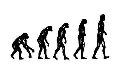 Theory evolution of man. From monkey to man. Vintage engraving