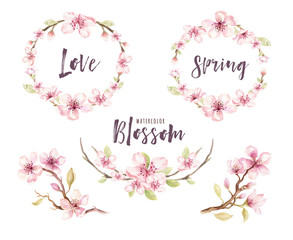 Watercolor boho blossom flower set. Spring or summer decoration 