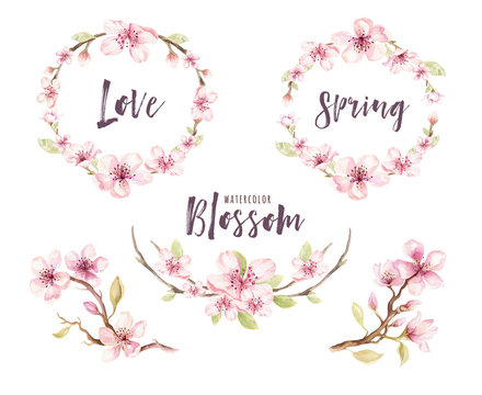 Watercolor boho blossom flower set. Spring or summer decoration 