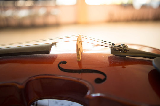 Violin music instrument of orchestra