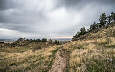 Rainy Day at Maxwell Natural Area, Fort Collins, Colorado