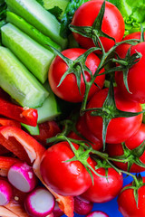 Close up fresh vegetables for salad