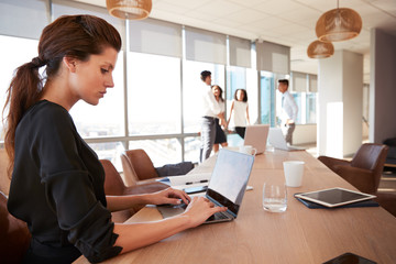 Businesswoman Uses Laptop As Colleagues Meet In Background