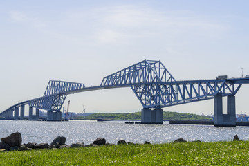 Fototapeta premium 東京ゲートブリッジ