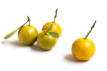 Closed up of kumquat orange that placed on white background