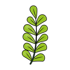 color blurred stripe image spring branch with ovals leaves vector illustration