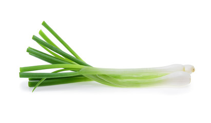 Green onion isolated on the white background