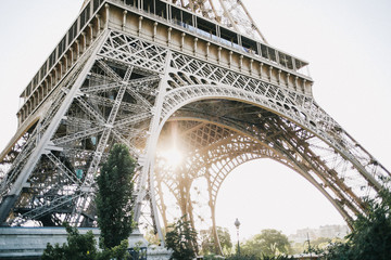 Fototapeta na wymiar the Eiffel Tower