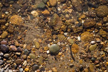 Natural background of round reeble stone under clear river water, summer outdoor day light