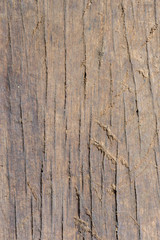 Fototapeta premium wood texture background