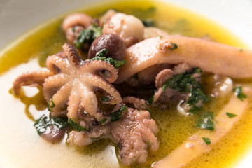 Moscardini e calamari in guazzetto