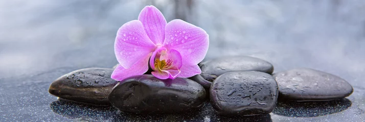 Abwaschbare Fototapete Rosa Orchidee und Basaltsteine auf dem schwarzen Hintergrund. © Swetlana Wall