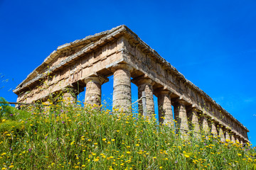 Fototapeta premium The ancient elimic temple at Segesta, Sicily