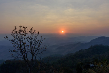 Dimly light of the morning sun and shadow tree  at Doi Hua Mod , Umphang district, Tak province, Thailand