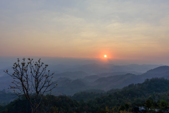 Dimly light of the morning sun and shadow tree  at Doi Hua Mod , Umphang district, Tak province, Thailand