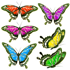 beautiful color butterflies,set, isolated  on a white