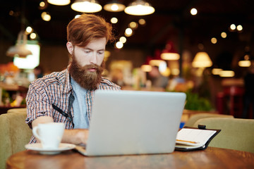 Handsome young trader analyzing financial market via laptop while sitting in comfortable coffeehouse, waist-up portrait