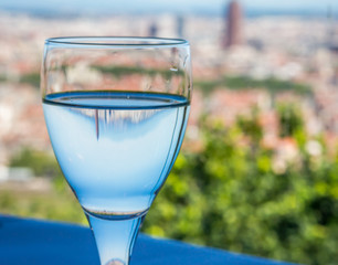 Lyon dans un verre d'eau