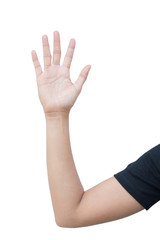 right hand a woman show hi five, greet, stop, slow down, empty, number five, the fifth sign, a long hand with upper arm and elbow. isolated on white background