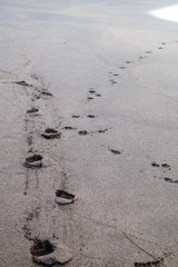 Footprints and footprints in the sand of a beach