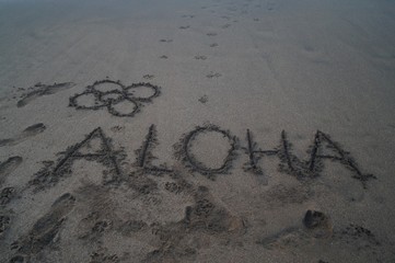 beach aloha 