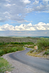 view with road in the middle of the vegetation
