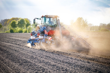 Ackerbau, Landtechnik beim Mais legen, Trockenheit - Staub © Countrypixel
