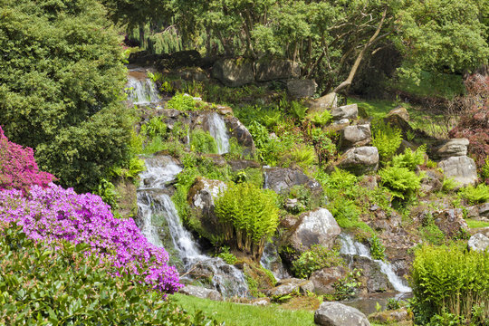 Waterfall with water flowing through big rocks, ferns, in a spring flowering landscaped garden .