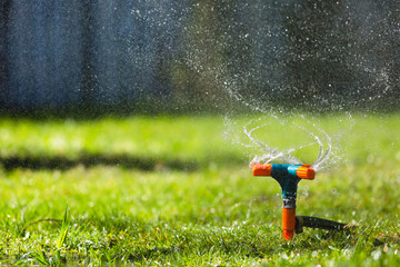 Garden sprinkler watering grass