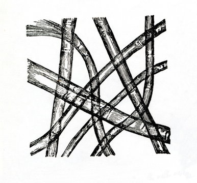 Flax fiber, seen by microscope 