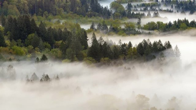 Ultra high definition 4k uhd time lapse closeup video of low moving and rolling fog and mist over Sandy river from Jonsrud viewpoint in Sandy OR 4096x2304