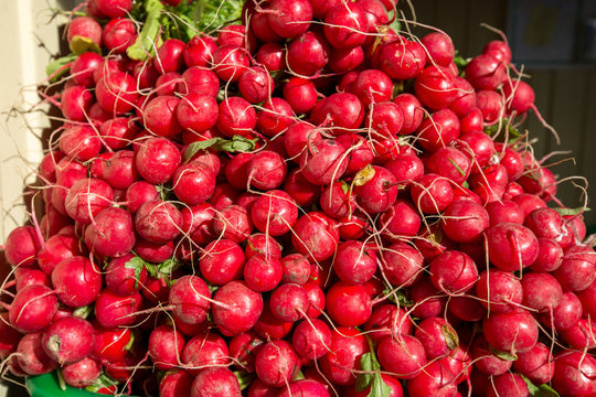 Red radish on market.