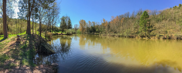 The different colors of the water of a small swamp