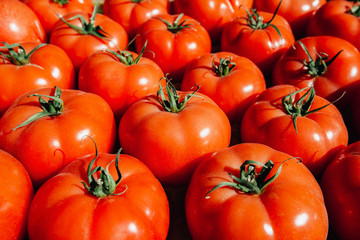 Many fresh red tomatoes big fruit type.