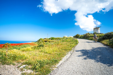 Fototapeta premium Abstract background of wild red poppies with bright blue sky and an old windmill, Santorini, Greece