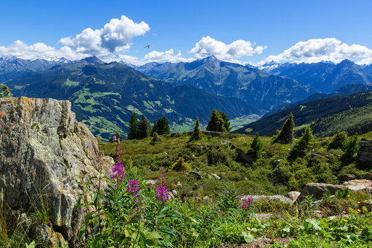 High mountains view with green meadow and stones in the foreground.  Zillertal High Alpine Road, Austria, Tirol, Zillertal